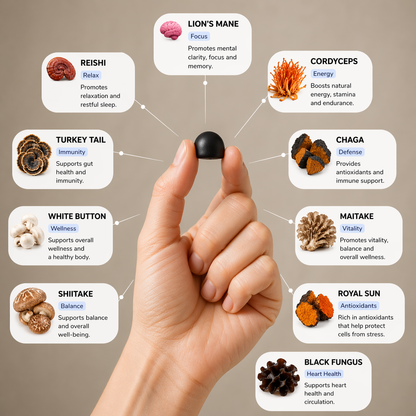 ENERGY & FOCUS GUMMIES